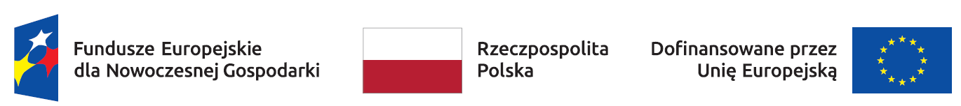 Fundusze Europejskie dla Nowoczesnej Gospodarki, Rzeczpospolita Polska, Dofinansowane przez Unię Europejską